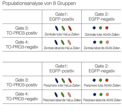 Populationsanalyse von 8 Gruppen