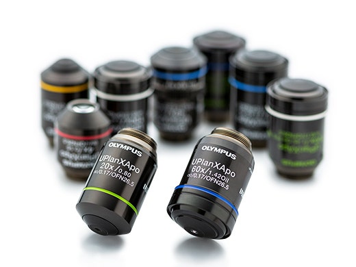 Hochleistungsbildgebung mit X Line Objektiven