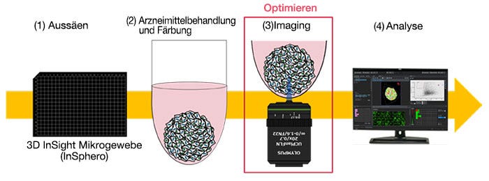 Arbeitsablauf Arzneimittelbewertung