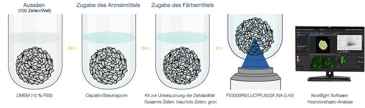 Abb. 1 Methode für das Hochdurchsatz-Screening ohne Flüssigkeitsaustausch