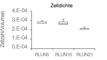 Abbildung 3 3D-Quantifizierung der Morphologie von F-PDO