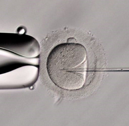 ICSI (Relief contrast)