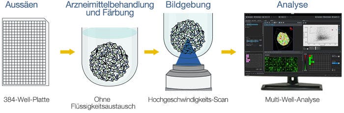 Arbeitsablauf der Anwendung