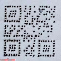 5X-Objektivlinse; 3x3-Stitching