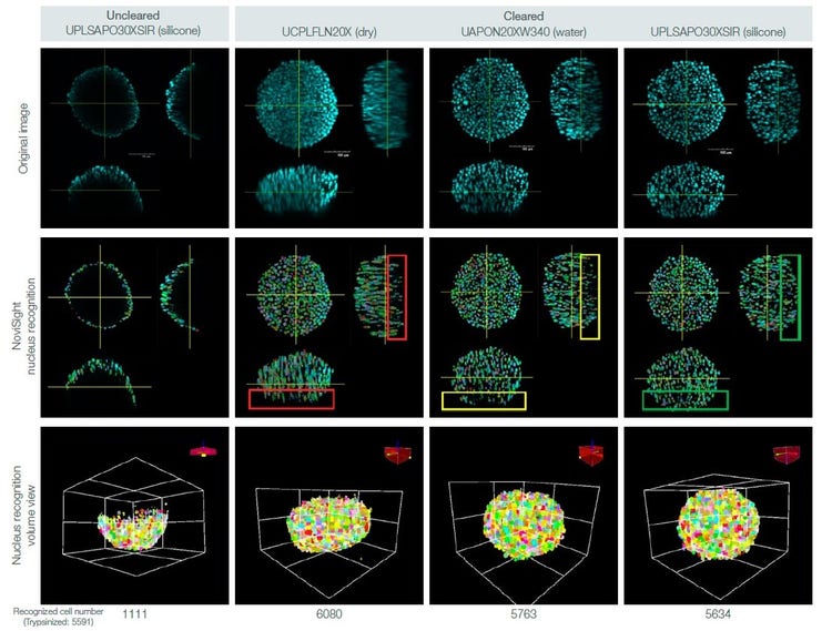 Fig. 3. Effects of spheroid clearing and objective selection on 3D cell counting.