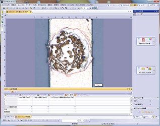 Gold, das nach der Entfernung von Lötperlen auf der Bondfläche verbleibt_ob50×z4×_BF_ROI_Zählung und Messung