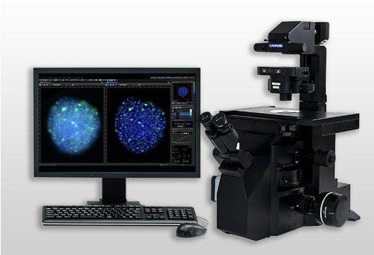 View larger image: cellSens Microscope Imaging Software Image 1 of 1