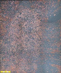 2B Fingerprint Copper wiped with nylon