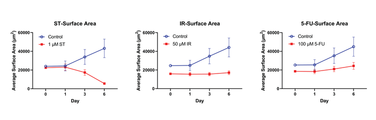 Changes of organoid surface area over time with no treatment,