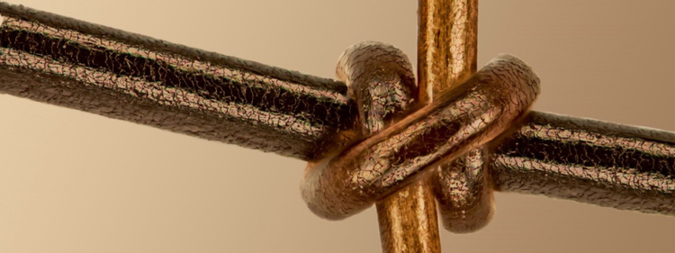 Schmuckstücke der Natur — Gewinner des fünften jährlichen Image of the Year Award für die Kategorie Materialwissenschaft