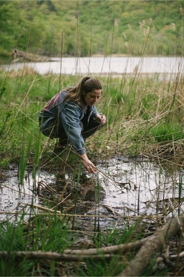 Sammeln von Rädertierchen zur Betrachtung unter dem Mikroskop