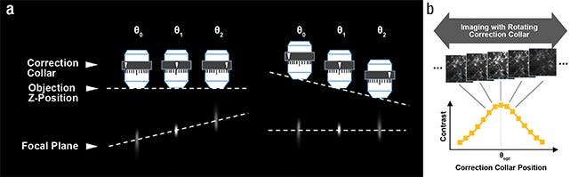 Korrektur der sphärischen Aberration beim Deep Imaging in der Multiphotonenmikroskopie