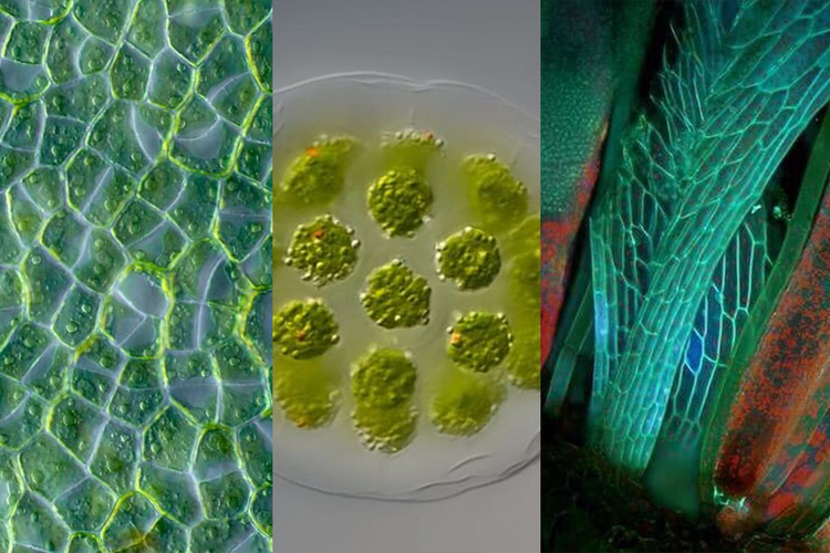 Die beliebtesten Bilder vom November 2019