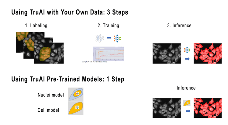 Bildsegmentierung mit Deep Learning