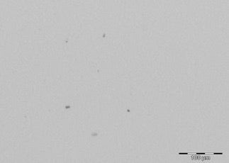 Filtermembran aus Polyester