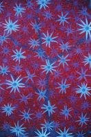 Lobende Erwähnung IOTY 2021 David Maitland