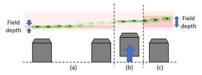 Inverses Mikroskop und aufrechtes Mikroskop