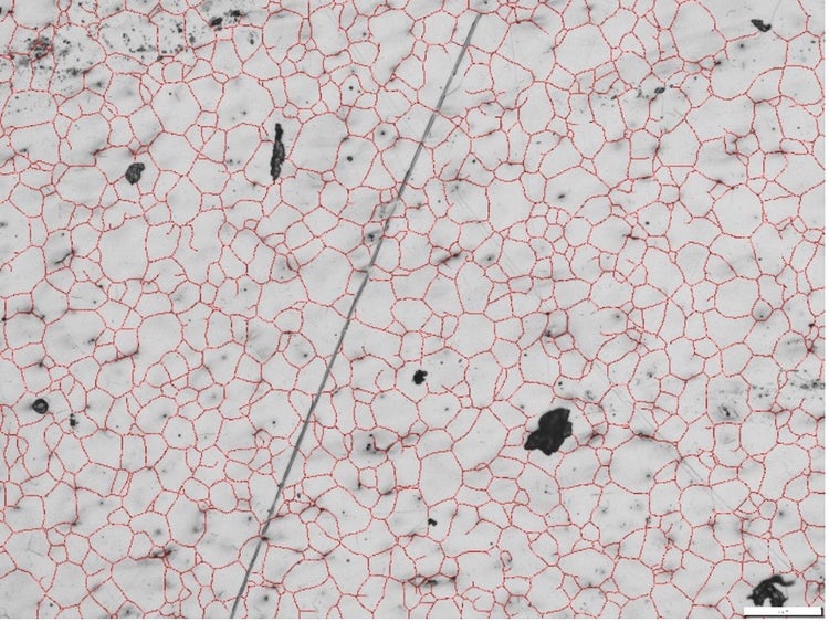 Mit Deep-Learning-Bildanalyse erkannte Korngrenzen in einer metallographischen Probe