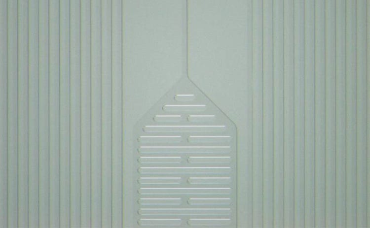 Fallstudie 4: Mikroflusspfad