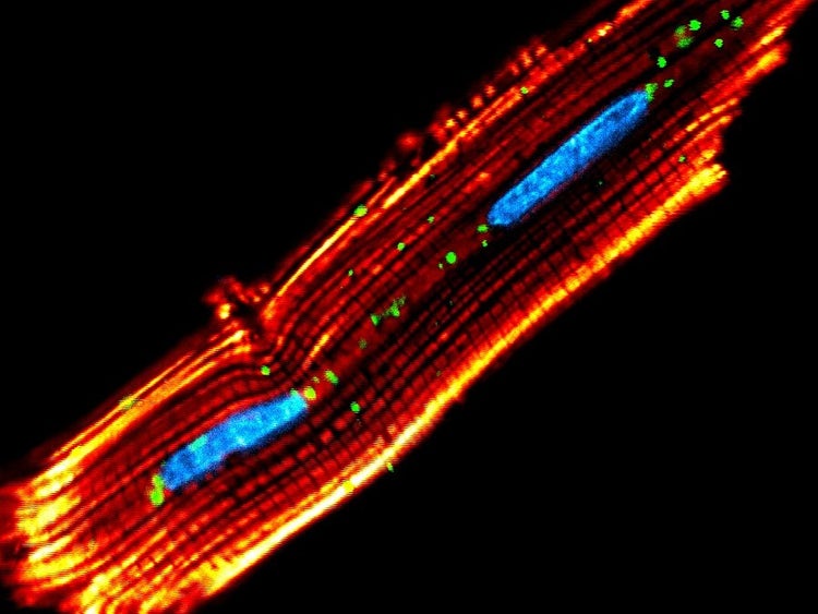 Ehrenvolle Erwähnung Nr. 4
