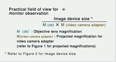 Practical Field of View for Monitor Observation