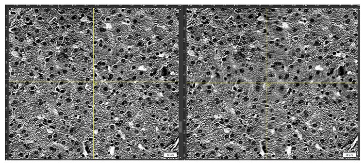 Example of distortion correction enabled and disabled.
