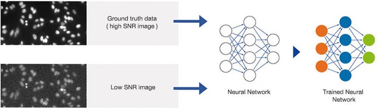 Figure 3 Training the neural network. Pairs of images with high and suboptimal SNR are used to teach the neural network object detection in all SNR conditions.