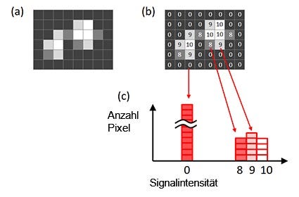 Abbildung 6: Ein Histogramm eines Bilds. Ursprüngliches Bild (a), Signalintensität jedes gezeigten Pixels im Originalbild (b), ein anhand des ursprünglichen Bildes erstelltes Histogramm (c).