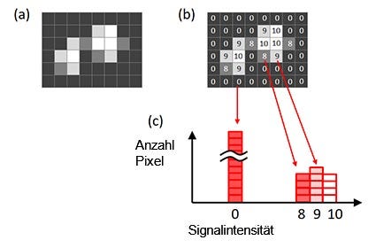 Abbildung 6: Ein Histogramm eines Bilds. Ursprüngliches Bild (a), Signalintensität jedes gezeigten Pixels im Originalbild (b), ein anhand des ursprünglichen Bildes erstelltes Histogramm (c).