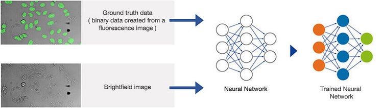 Figure 8 Schematic showing the training process of the neural network.