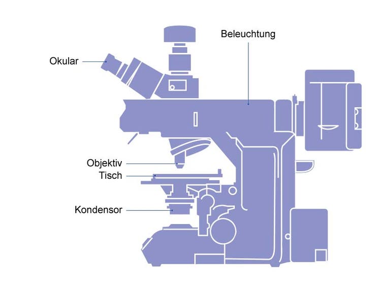 Abbildung