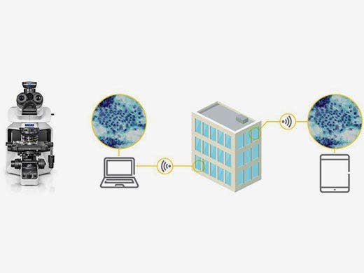 Einfache Bildfreigabe durch eine digitale Mikroskopkamera