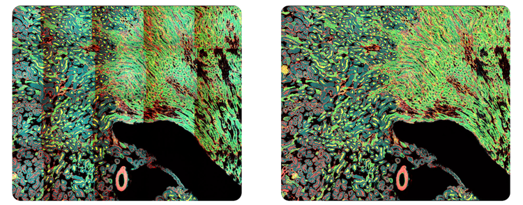 Comparison stitched images without Intelligent Shading Correction (left) and with Intelligent Shading Correction (right).