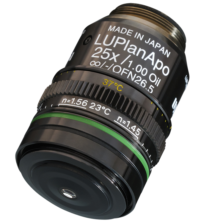 oil immersion objective.