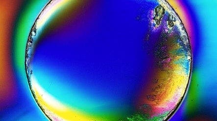 Links: Geformtes Kunststofferzeugnis, aufgenommen mit Durchlicht mit Polarisationsmodul SZX2-CPO.