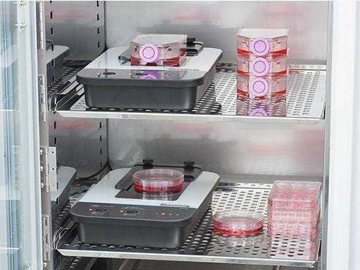 Markerfreie Erkennung