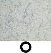 Stainless steel - Brightfield