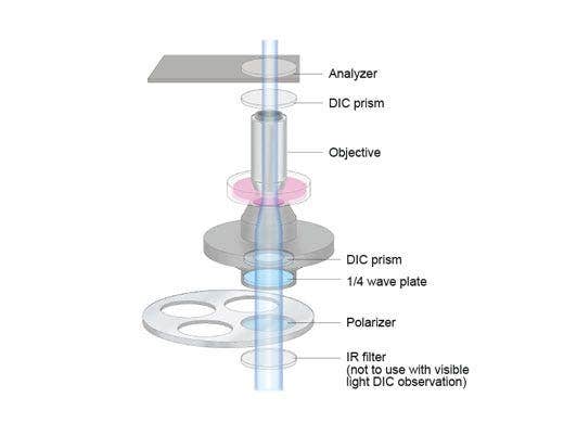 Senarmont-Kompensation für Nomarski-DIC-Imaging