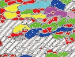 Conventional software Unclear grain boundaries