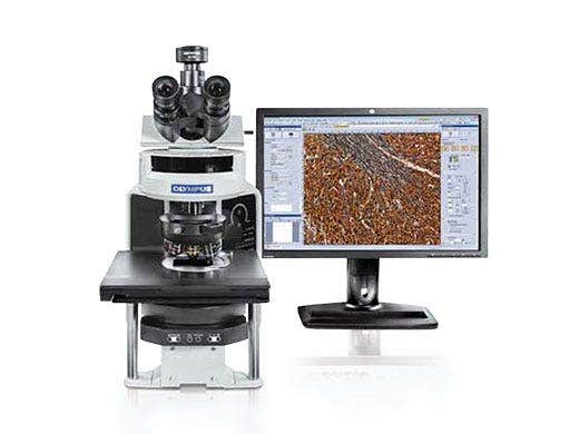 Hervorragende Leistung für verschiedene Bildgebungsanwendungen