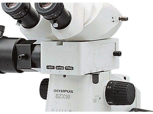 Fluorescence Illuminator