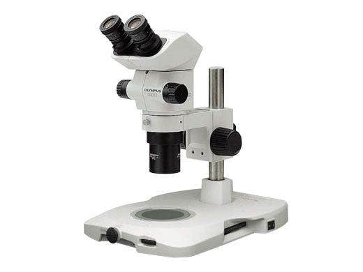 Wahl der geeigneten Kontrast- und Beobachtungsmethode