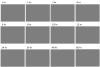 Überwachung der Sphäroidbildung in Multiwell-Platten mit U-Boden mit einem Inkubationsüberwachungssystem