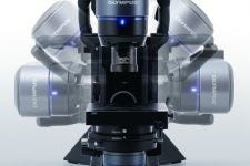 Picture 259517849, Picture