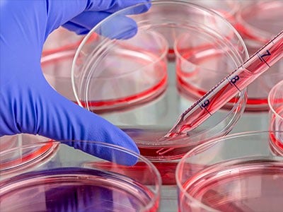 Regenerative Medicine