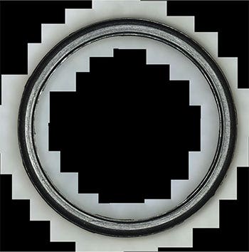 Image of a product observed from the upper surface (42X)