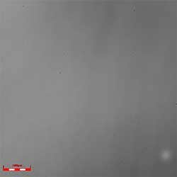 laser_microscopic_intensity_20x