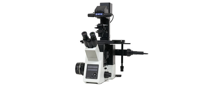 IXplore IX73 Standard Compound Microscope System | Evident