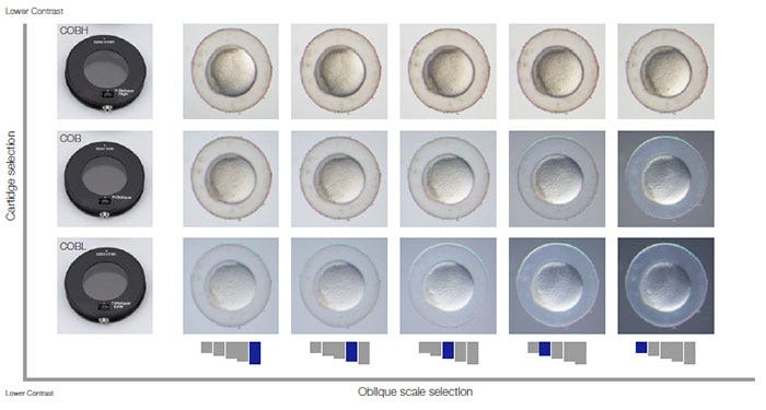 Cartridge and oblique scale selection