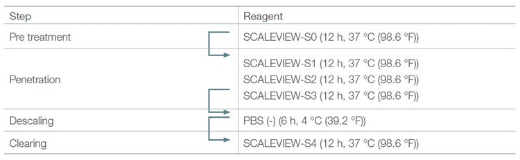 Table 1. Original SCALEVIEW-S protocol